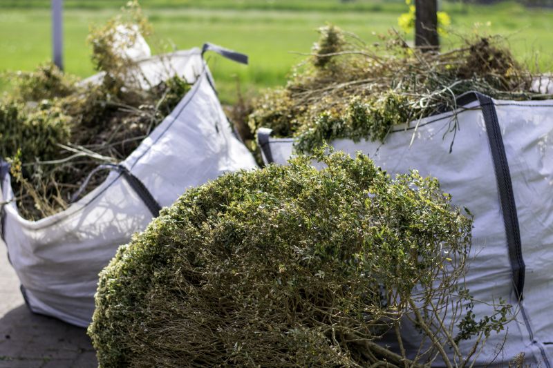 Viburnum Removal