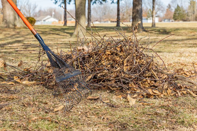 Trimming Bushes