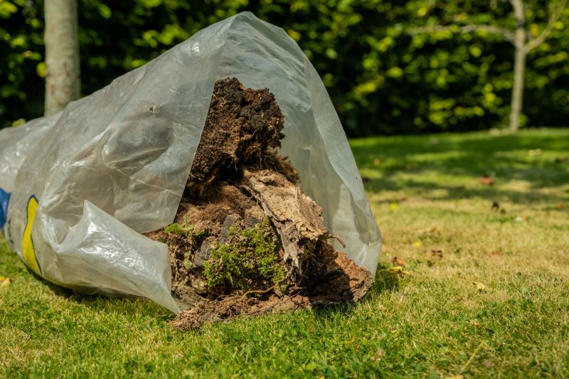 Viburnum Removal Costs — Cost of Viburnum Removal