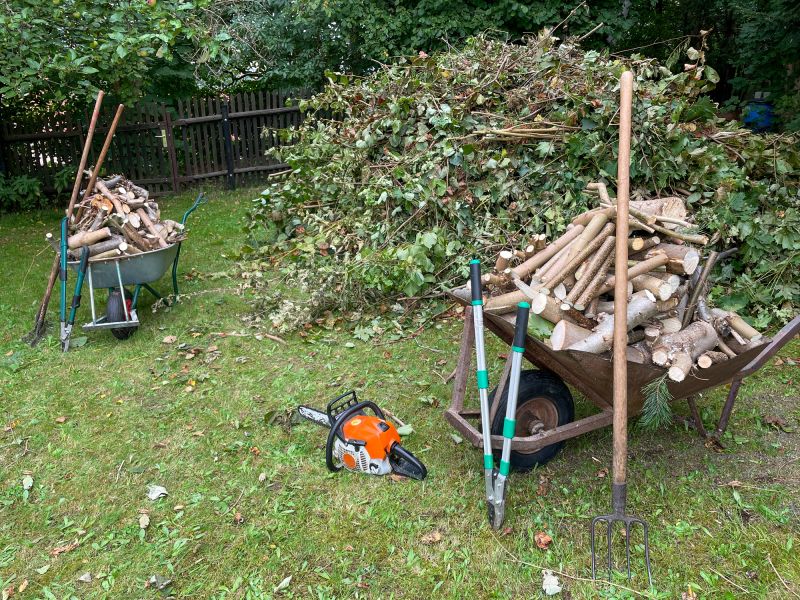 Viburnum Removal